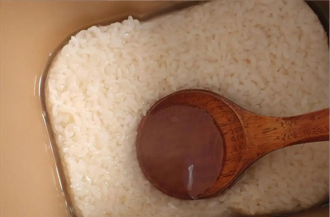 年轻人巧用面包机，做出甜酒酿与烤红薯，功能远超想象插图1