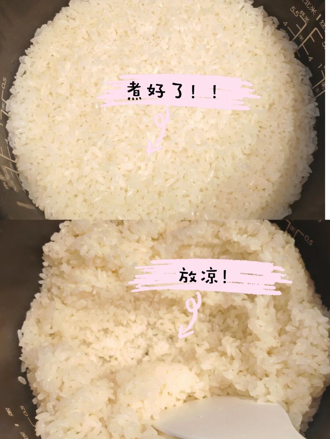 年轻人巧用面包机，做出甜酒酿与烤红薯，功能远超想象插图2