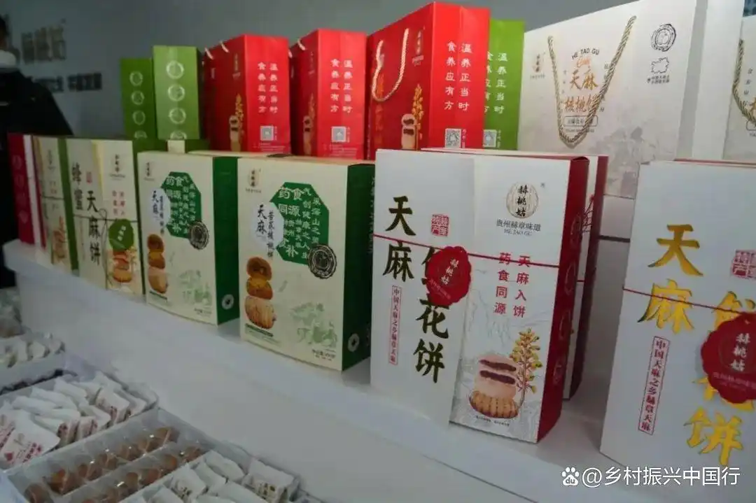 贵州毕节春耕忙，多地种天麻盼丰收，走上增收特色路插图5