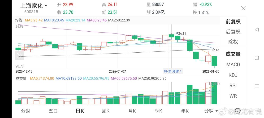 上海家化股票现在能买吗？基本面剖析与走势展望