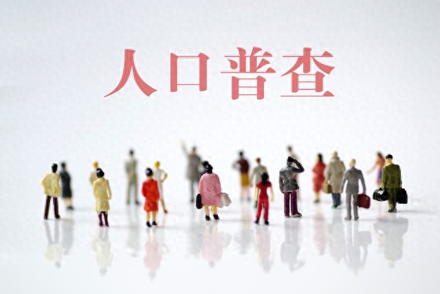 1%人口抽样调查相关信息，大小普查时间及数据核定区别插图