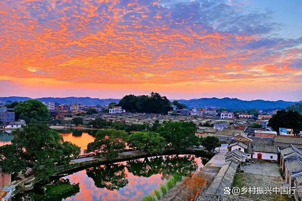 灵山荔枝节来了！千年荔乡活动亮点全揭秘插图6