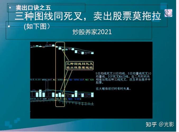 股票技术群