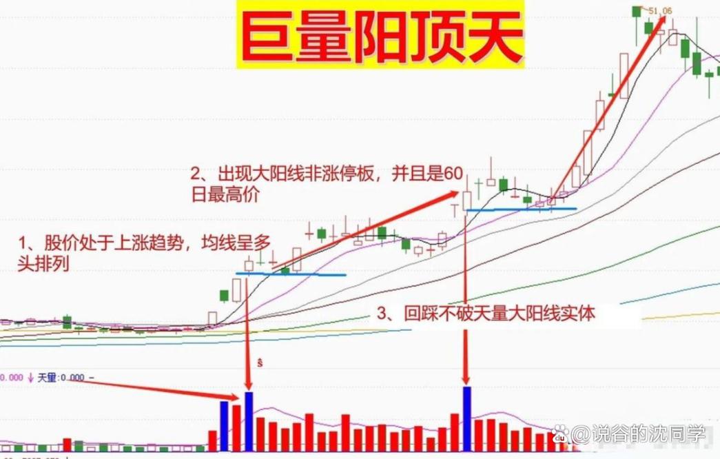 个股查询入口