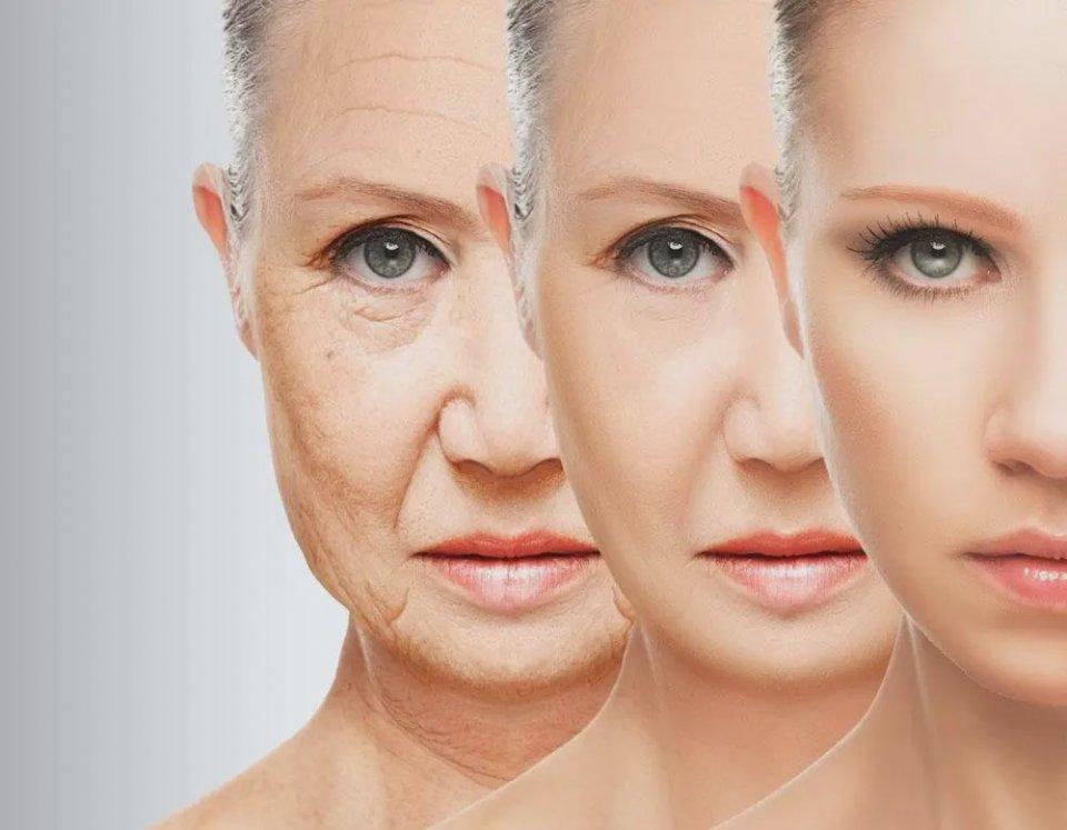 活到150岁不是梦？癌症疫苗、基因编辑让百岁人生变保守插图1