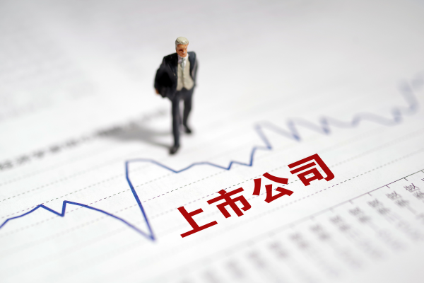 中国证监会上市公司监管实践：信息披露与监管合规评估