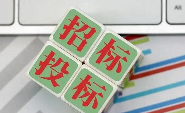 解密开标：揭秘招标过程中的关键步骤