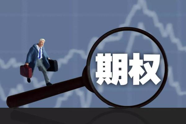 期权交易风险控制：建立有效的风险管理策略