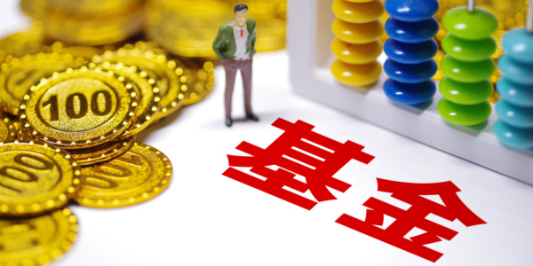 政府引导基金：促进创新与科技发展的利器