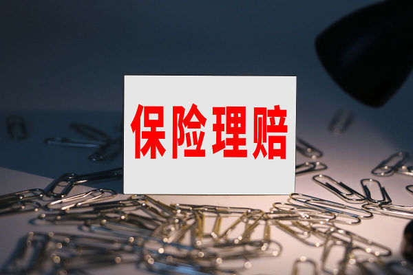 保险索赔的流程和注意事项