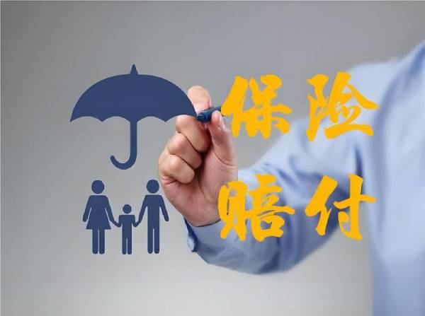 保险理赔与风险管理：索赔处理与损失评估